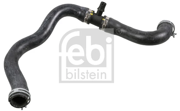 Radiator Hose